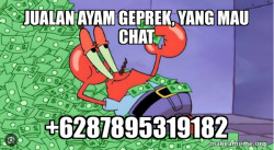 Mr Krabs Money