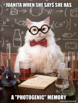 Chemistry Cat