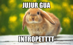 Regretful Rabbit