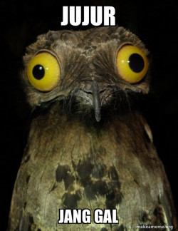 Weird Stuff I do Potoo