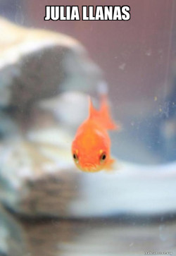 Grumpy Fish