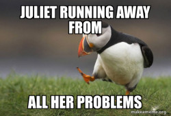 Unpopular Opinion Puffin