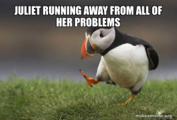 Unpopular Opinion Puffin