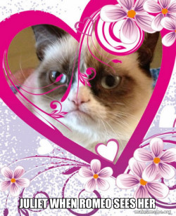 Grumpy cat Valentines Day