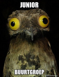Weird Stuff I do Potoo