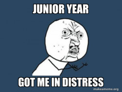 Y U No