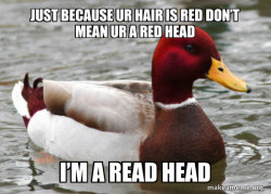 Malicious Advice Mallard