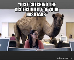 Hump Day Camel