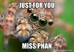 Hipster Spider
