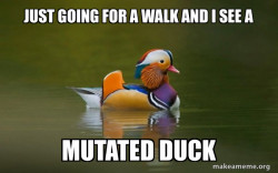 Fashionable Advice Mallard