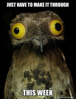 Beginning of mondays