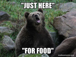 Sarcastic Bear