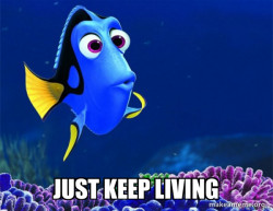 Dory from Nemo  (5 second memory)