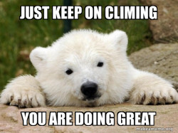 Popular Opinion Bear