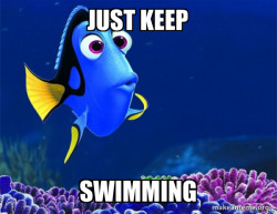 Dory from Nemo  (5 second memory)