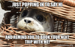 Impending Doom Seal
