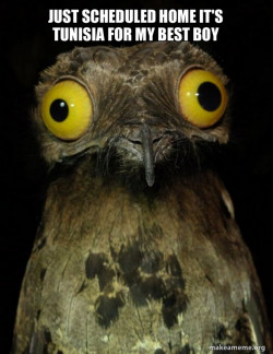 Weird Stuff I do Potoo