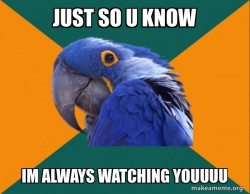 Paranoid Parrot