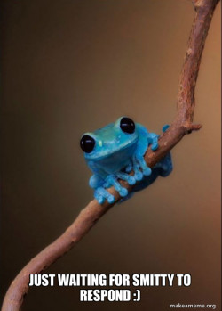 Small Fact Frog