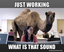 CAMEL IN WORK