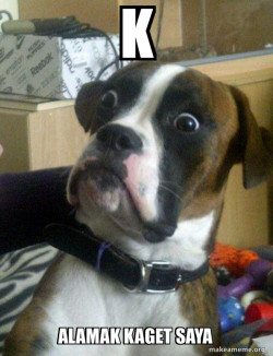 Skeptical Dog