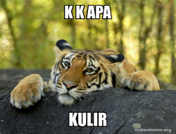 Confession Tiger