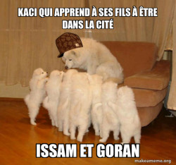 Scumbag Storytelling Dog