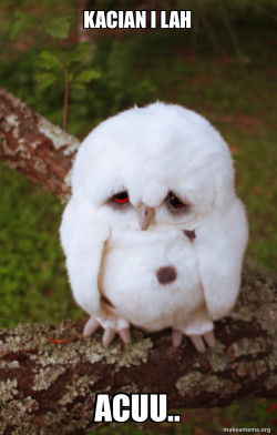 Sad Owl