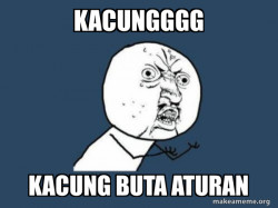 Y U No