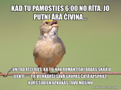 Common Opinion Sparrow