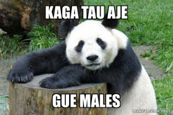 Confession Panda