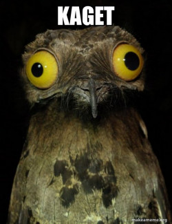 Weird Stuff I do Potoo