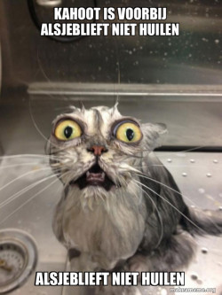 Cat bath