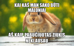 Regretful Rabbit
