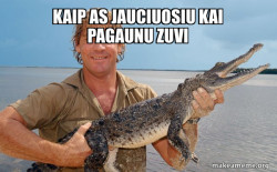 Steve irwin