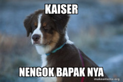 Unsure Dog