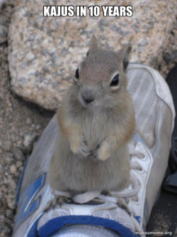 Standover Squirrel