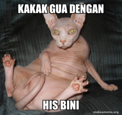 Hairless Cat