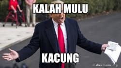 Trump - Impeachment Quid Pro Quo
