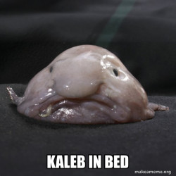 Blobfish