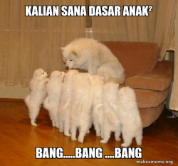 Storytelling Dog.