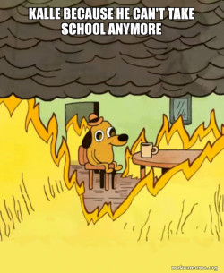This Is Fine