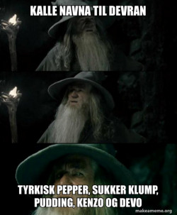 Confused Gandalf