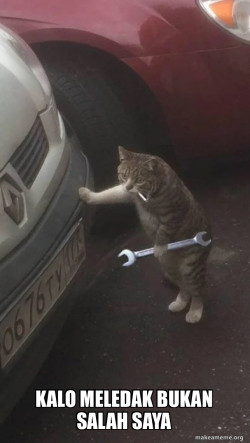 Mechanic Cat