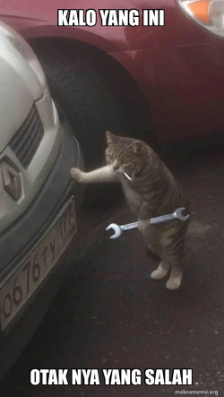 Mechanic Cat