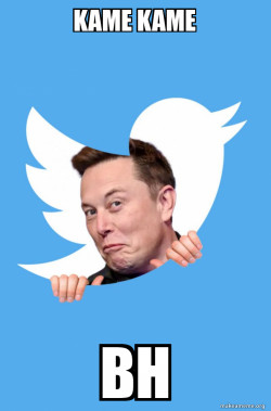 Elon Musk Twitter