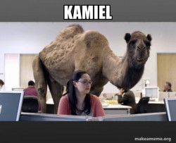 Hump Day Camel