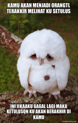 Sad Owl