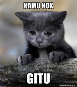 Confession Cat