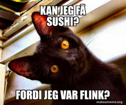 Overly Attached Cat